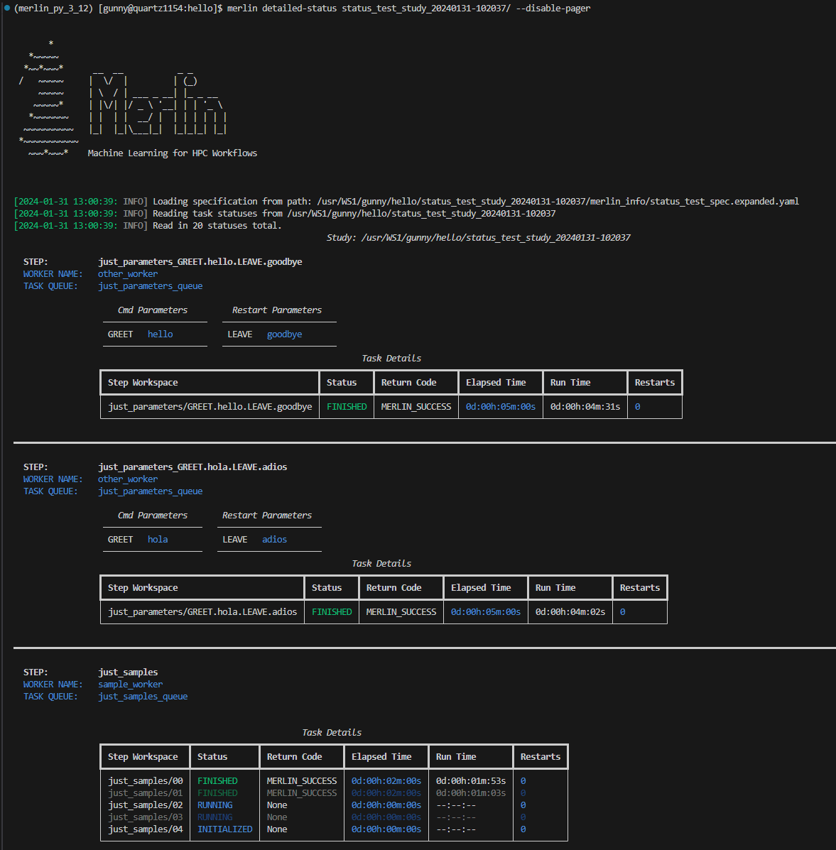 The output of detailed-status with the pager disabled
